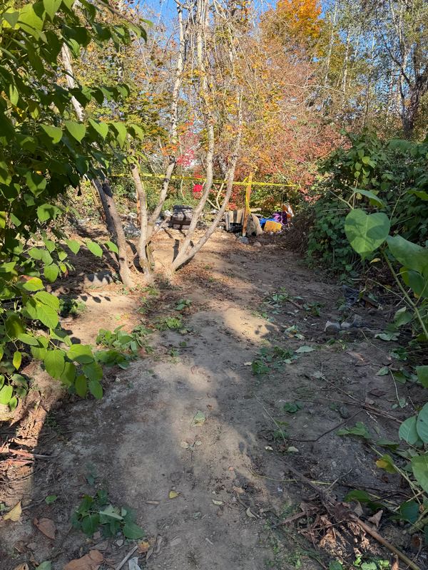 Wooded lot cleanup by Classic Cleanouts (after)