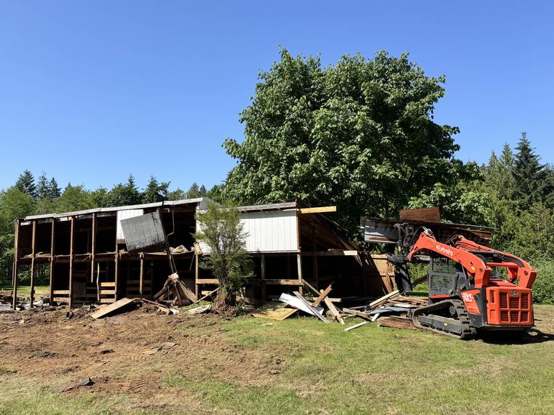 Classic Cleanouts tearing down an old barn with a compact track loader during a heavy demolition job
